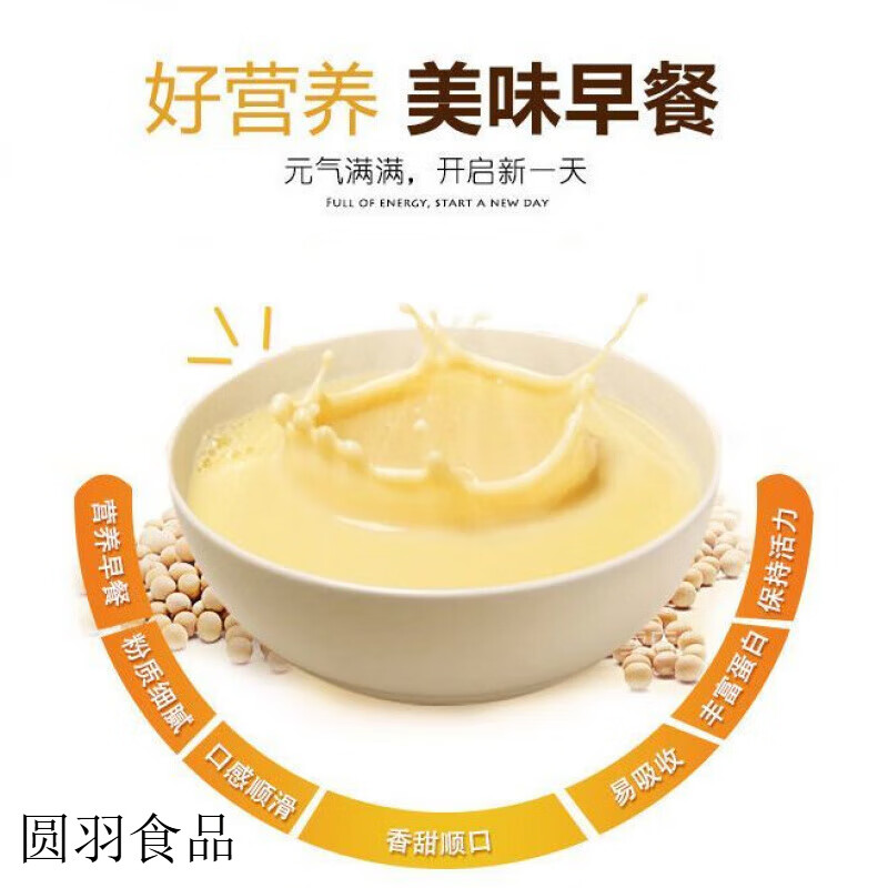 龙王豆浆粉480g速溶原味豆桨粉早餐店专用商用早餐甜味黄豆粉冲饮 LW LW大包装豆浆粉-原味