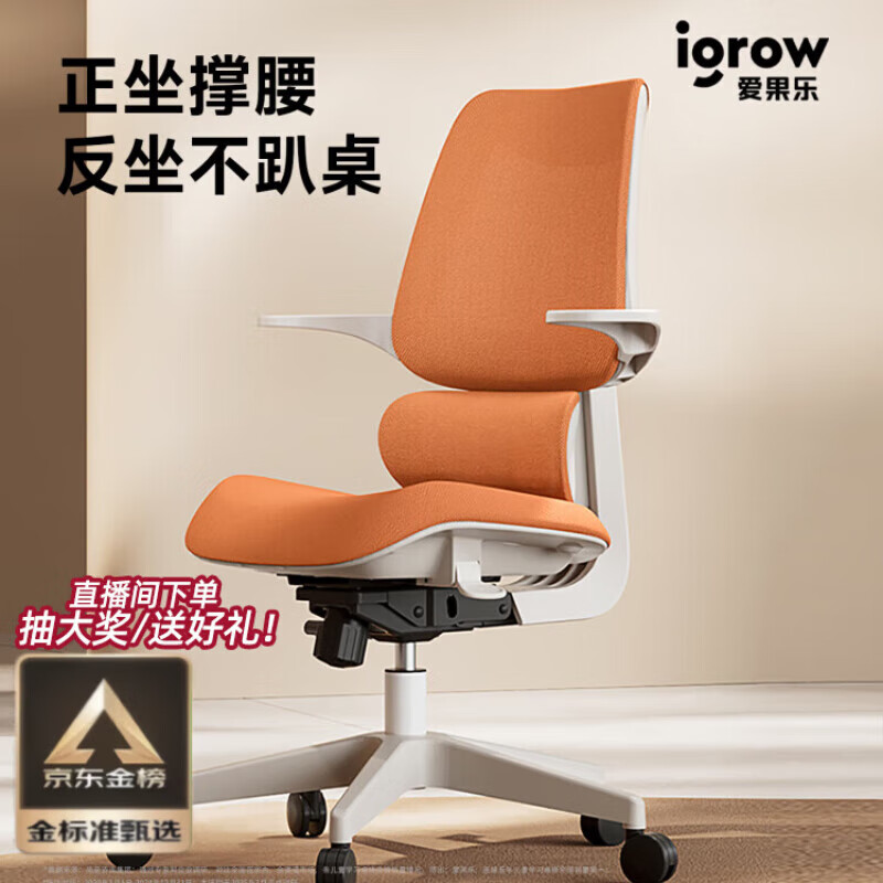 愛果樂騎馬椅青少年電腦椅人體工學(xué)椅家用寫字椅坐姿學(xué)習(xí)椅子 雙姿椅-靜謐灰【腰背聯(lián)動升降 坐深可調(diào)節(jié)】. PP腳 x  固定扶手