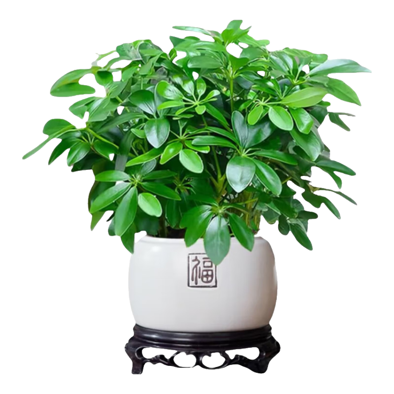 �˷���������Ѽ��ľ�����ļ�������������仨���辰���������� �˷�����ˮ��С��1�� �ͷ��� 1.49Ԫ