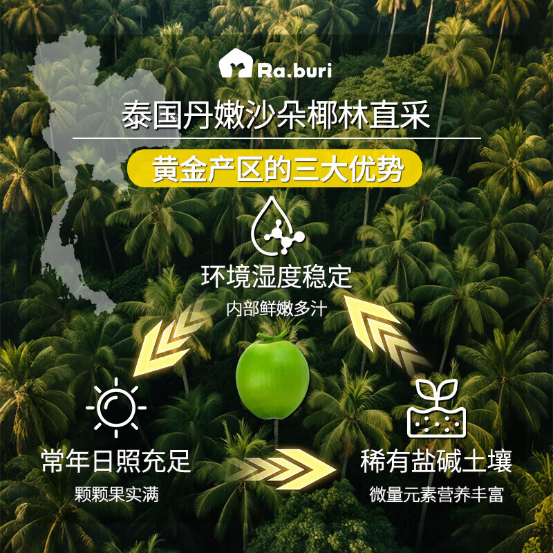 RA.BURI泰国100%天然椰子水泰国电解质果汁饮料断饱腹感0添加年货礼盒 【超值家庭装】1L*6瓶