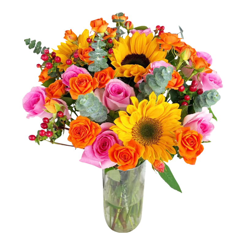 京东鲜花太妃拿铁玫瑰非洲菊冬季混合花束送礼家庭插花源头直发鲜花