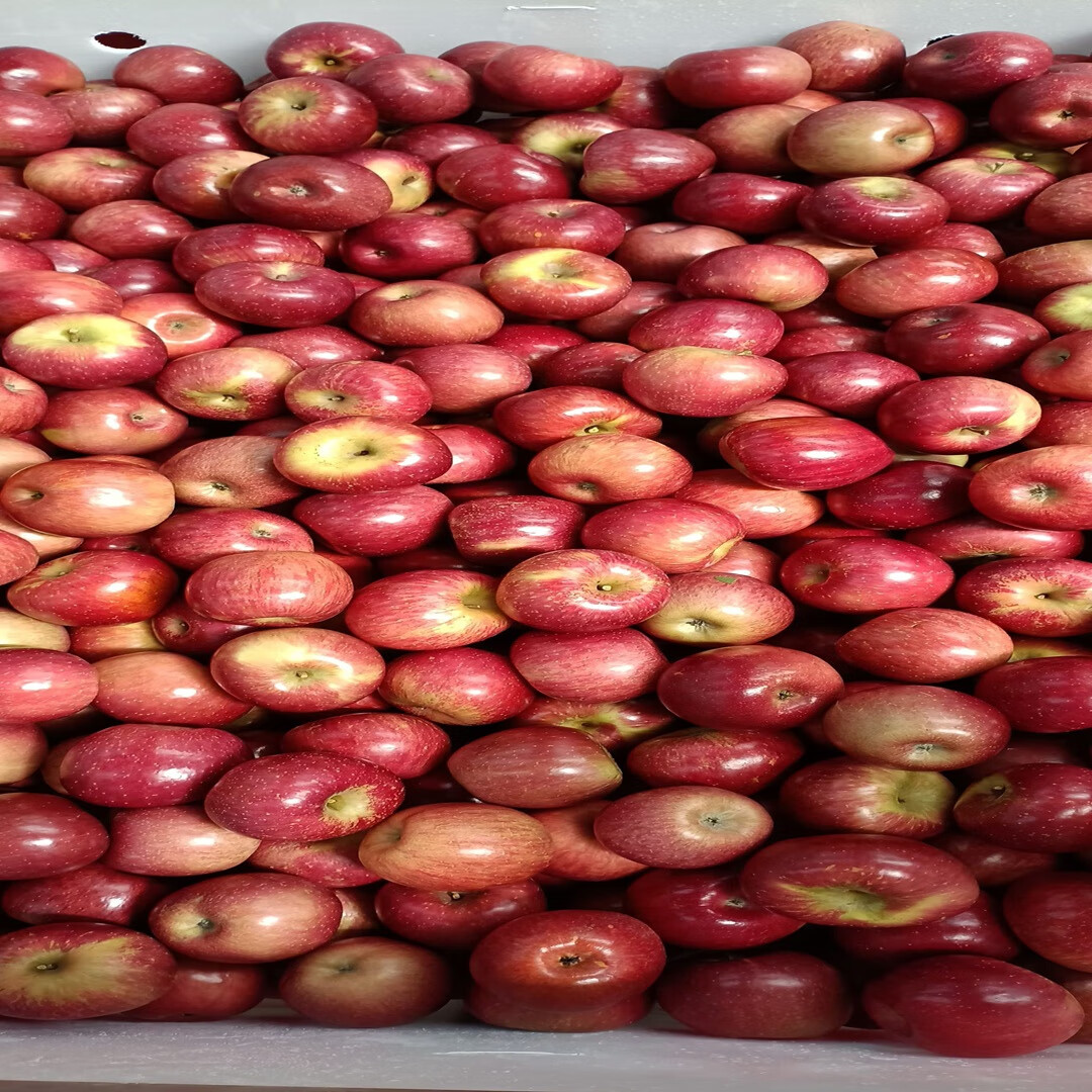 【顺丰包邮】云南樱桃小苹果脆甜可口高原冰糖心净重3斤礼盒装 净果3斤，单果60-70mm