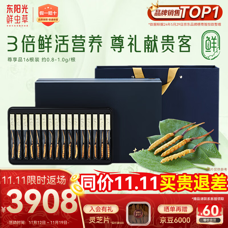 东阳光鲜虫草0.8-1g/根16根新鲜冬虫夏草补品送长辈老人源头直发包邮