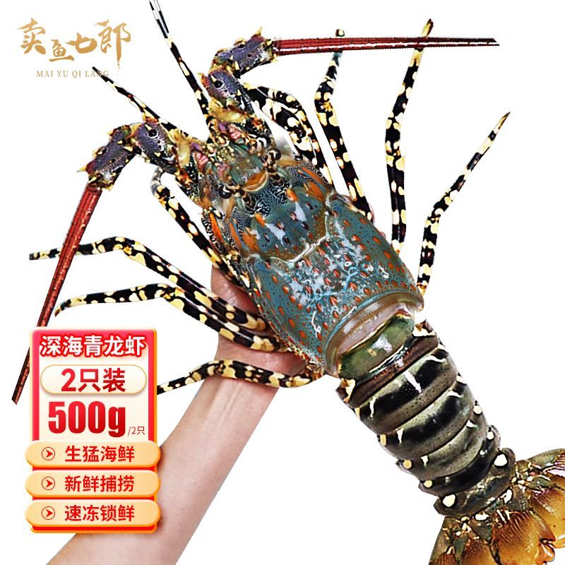 賣(mài)魚(yú)七郎海捕印尼小青龍蝦超大龍蝦花龍海鮮水產(chǎn)大蝦200-300g/只 活凍進(jìn)口小青龍約500G【2只裝】