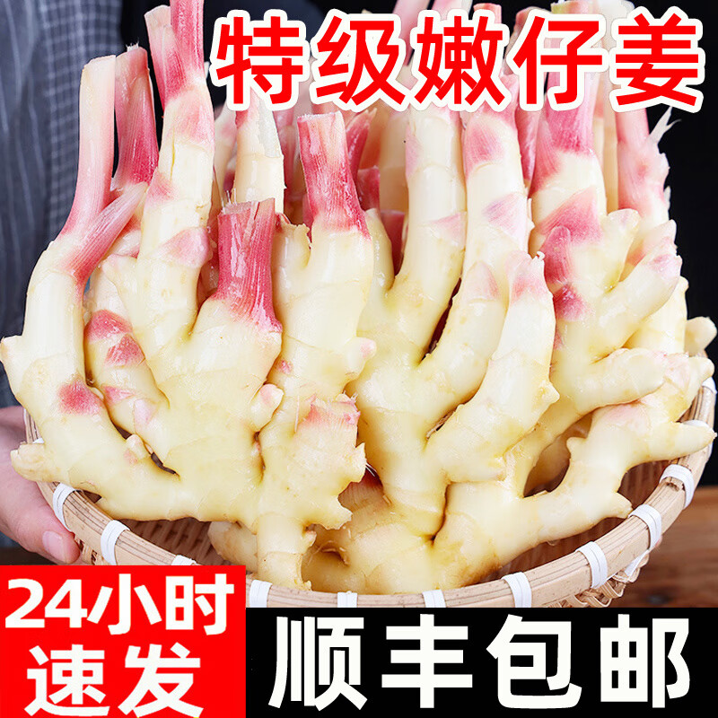 嫩姜新鲜大仔姜子姜山东红芽生姜斤非云南小黄糖醋老鲜姜指头姜 500g