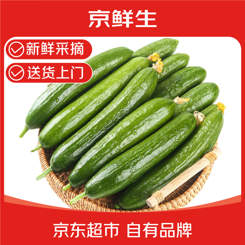 京鲜生 山东荷兰水果黄瓜 净重3斤 单果70g+ 小青瓜 健康轻食 源头直发