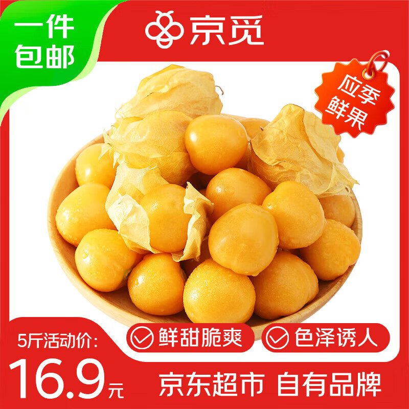 京觅 东北姑娘果3斤装带箱 灯笼果黄菇娘洋姑娘果 新鲜水果 源头直发