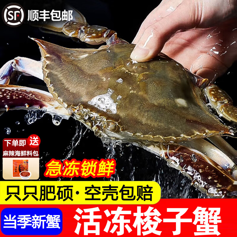 舟山梭子蟹特大活冻野生新鲜大螃蟹大闸蟹生鲜水产飞蟹大肉蟹 3-5两/只[约10只 ]尝鲜 净重3斤