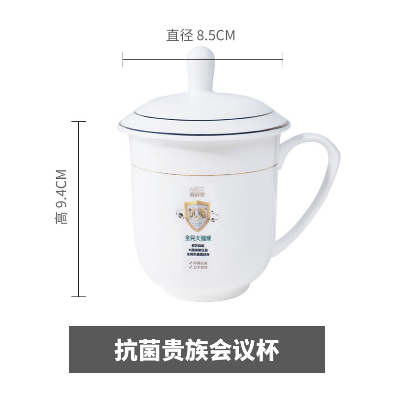 雅诚德 马克杯陶瓷杯大容量杯子办公室带盖家用水杯瓷杯ins简约 贵族