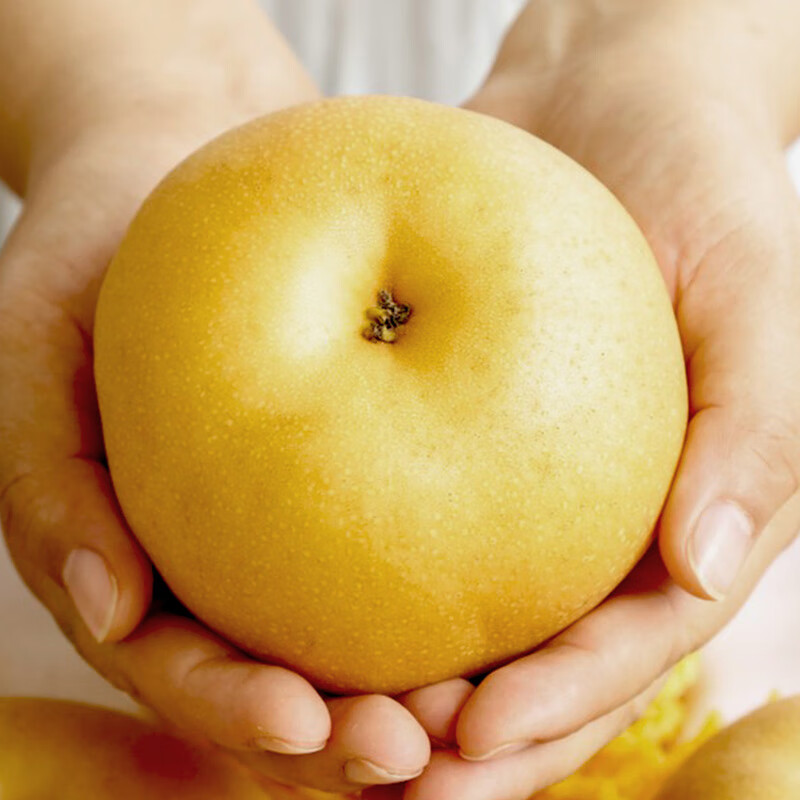 孔雀金枝【顺丰】新疆冰糖秋月梨阿克苏梨子新鲜水果生鲜中 净重6斤特级礼盒装单果400g+5-6