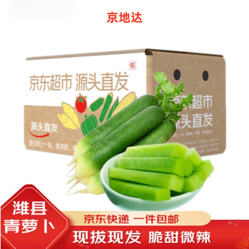 京地达山东潍县萝卜 净重3斤 中果 水果萝卜青萝卜蔬菜源头直发包邮