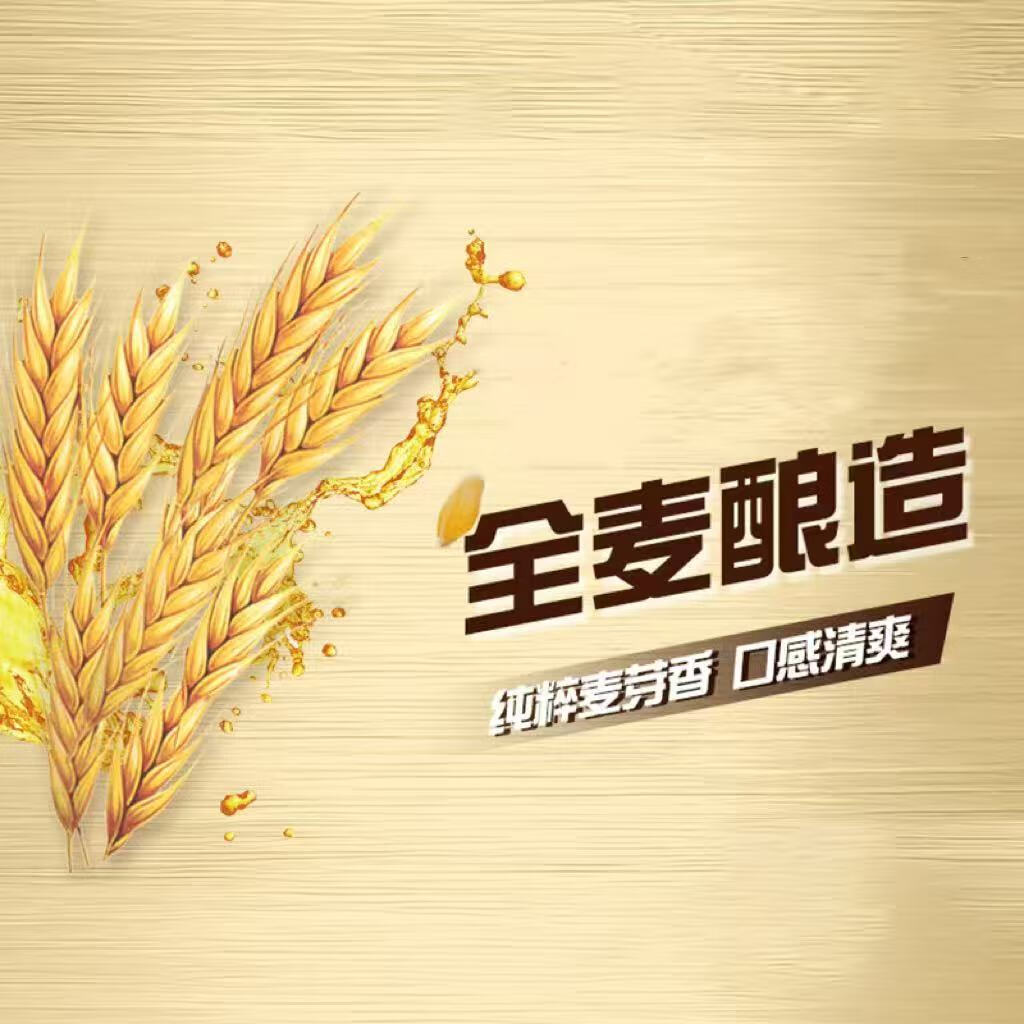 乌苏啤酒(wusu)天山白清爽白啤精酿啤酒整箱装精选阿克苏小麦聚会独酌宴请庆祝SC 【大罐畅饮】天山白 500mL 12罐 整箱装