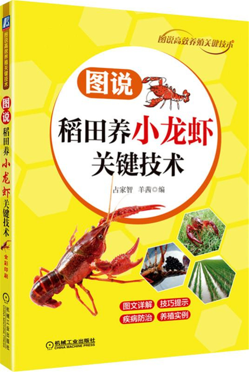 图说稻田养小龙虾关键技术