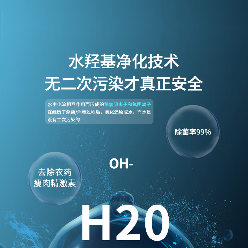 冰尊(BENSHION)果蔬清洗机家用洗菜机除菌99%羟基水离子食材净化机果蔬解毒机净化器M6 机器标配