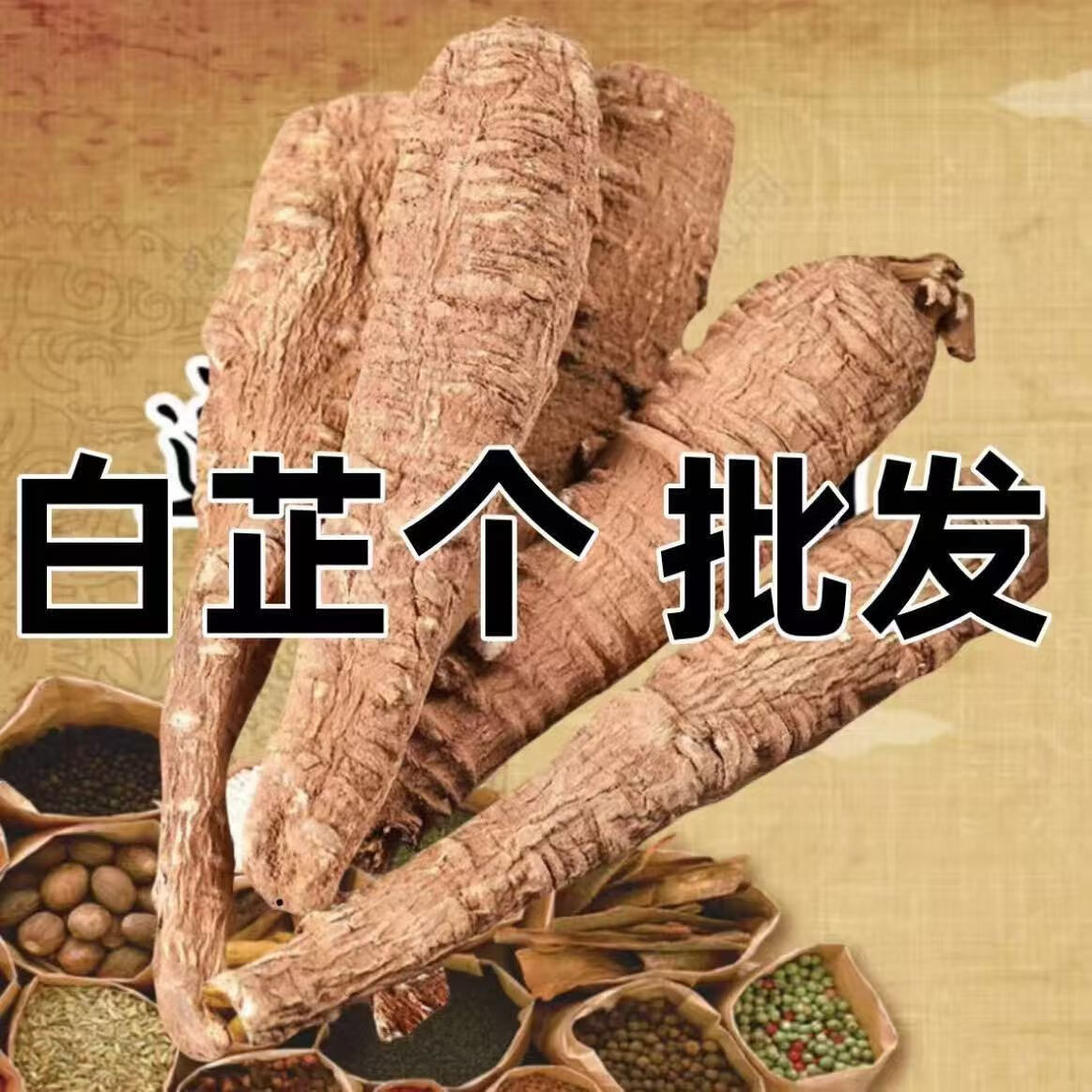 锦九堂四川白芷根500克/250克 优级整根四川大白芷个香料调料饭店批发 浅黄色 白芷个500克