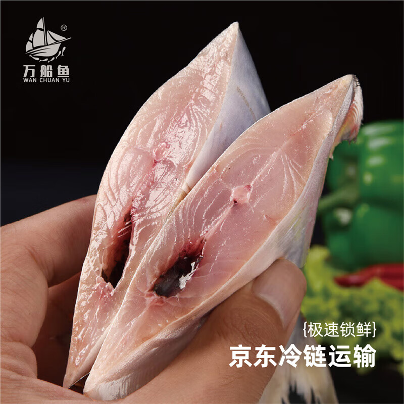 万船鱼北海金鲳鱼新鲜深海鱼急速冷冻锁鲜特大金昌鱼更健康独立包装 【约500克*2条】金鲳鱼净重 无冰衣