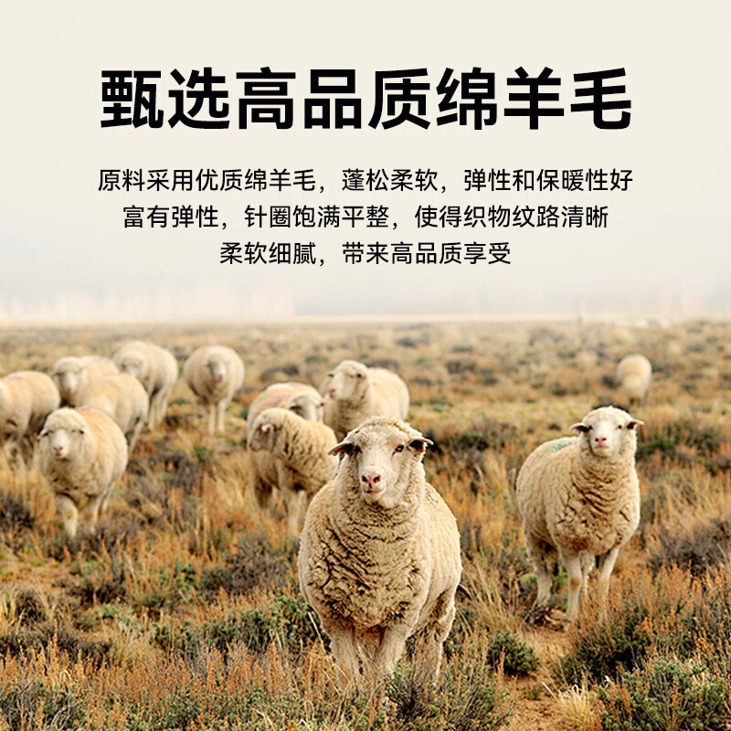 雪中飞绵羊毛奥粒绒圆领卫衣男士秋冬季休闲保暖外套时尚简约抗寒 卡其色 L 175/92A
