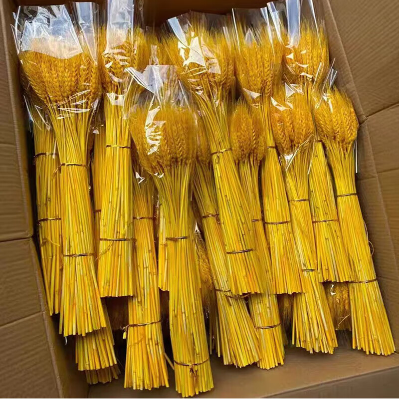 天然黄金麦穗干花大麦花束花店花篮麦子小麦客厅摆设装饰批发摆件 金