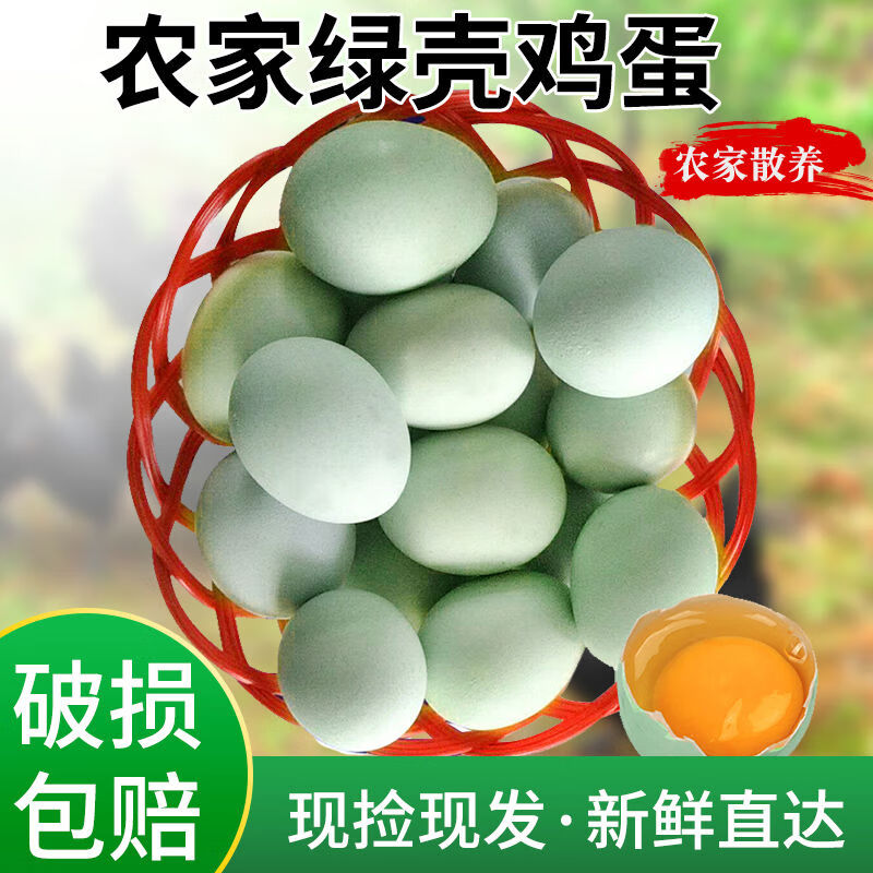 晨誠新鮮農(nóng)家放養(yǎng)散養(yǎng)土雞蛋烏雞蛋農(nóng)家蛋綠殼土雞蛋40枚破損包賠 40枚