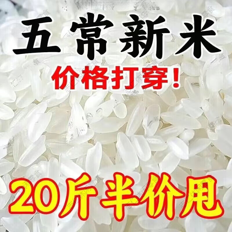 秋收新米 2025年正宗五常当季稻花香米圆粒长粒香米农家东北大米 五常大米5斤