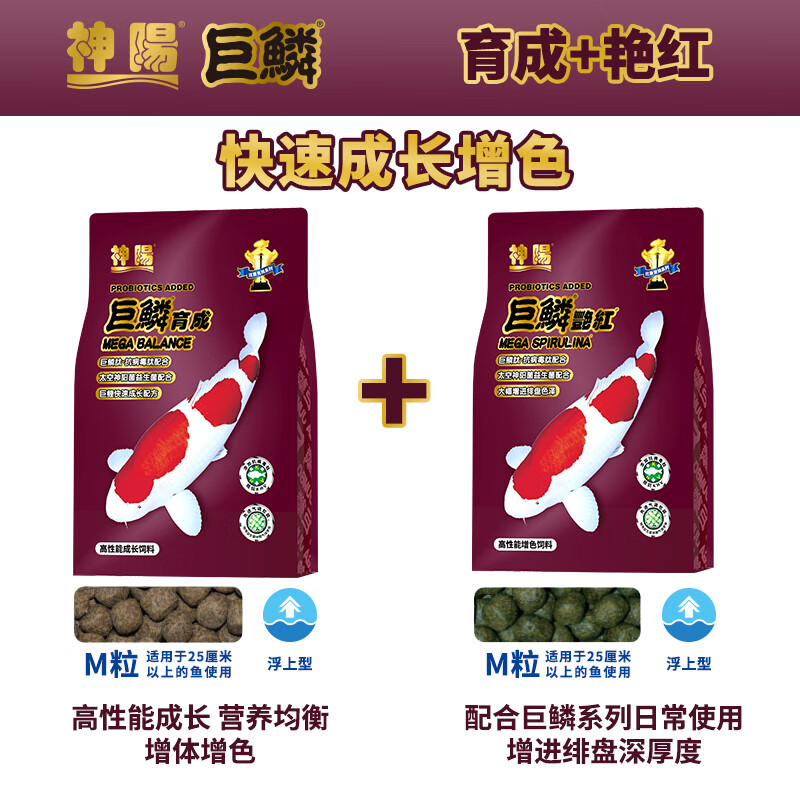 神阳巨鳞锦鲤鱼饲料高蛋白增色增体专用鱼粮赛级营养鱼食搭配套餐 育成1kg+艳红1kg M粒（快速成长增色）