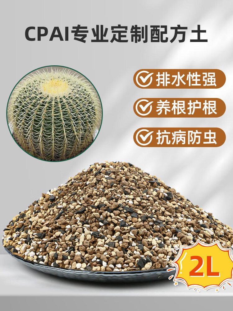 2l 进口基质仙人球土
