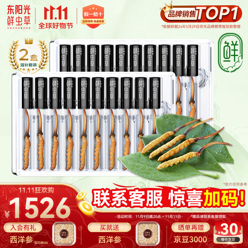 东阳光鲜虫草0.4-0.6g/根20根新鲜冬虫夏草补品送长辈老人源头直发包邮