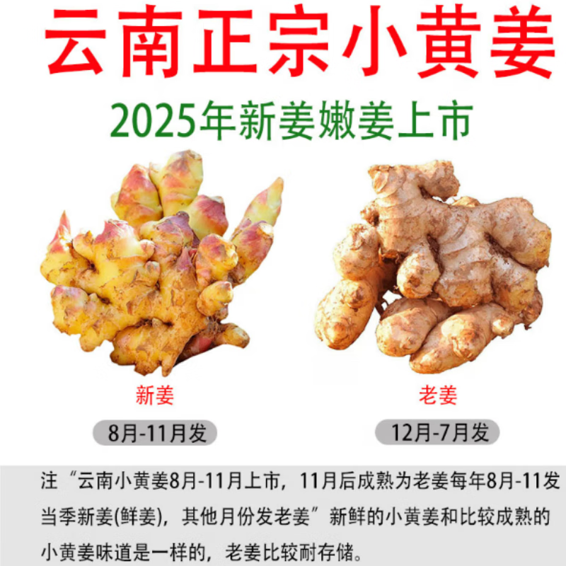 云南小黄姜产地直发