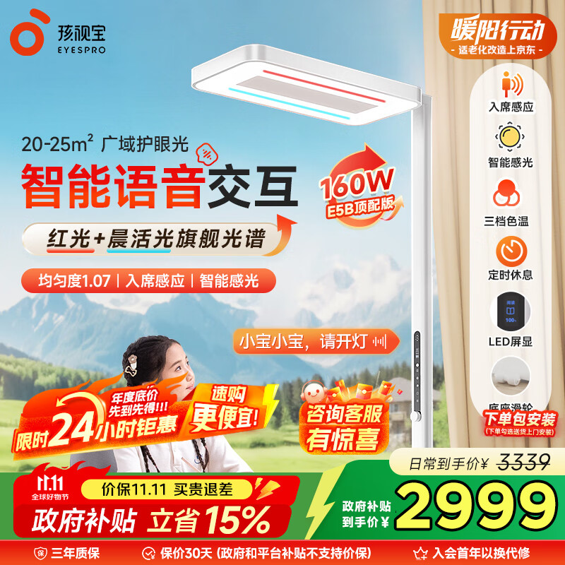 孩视灯家用落地大路灯E5-160W-R