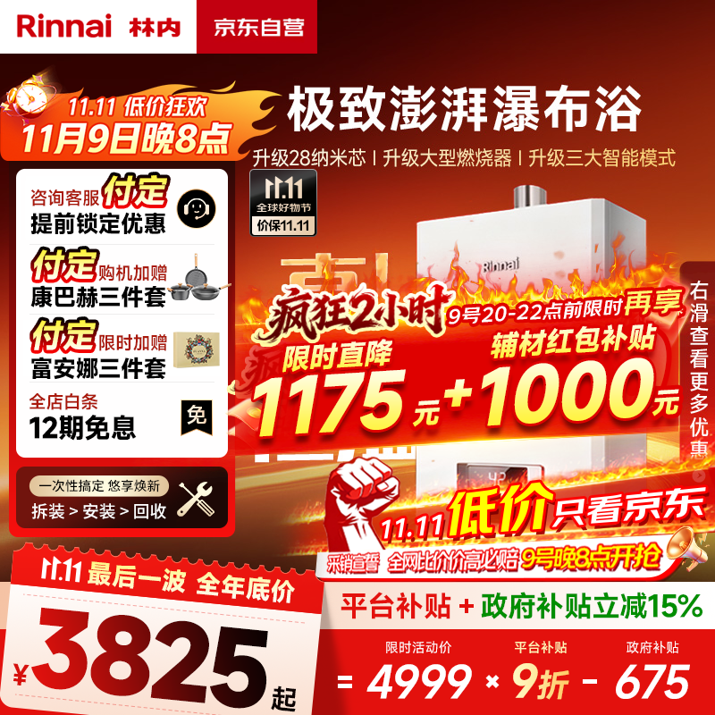 林内（Rinnai）【鲸吨吨白鲸】20升燃气热水器天然气【国家补贴15%】大水量 20GD31 (JSQ40-GD31)