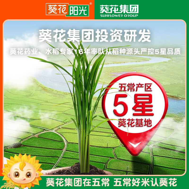 葵花陽光東北五常大米5kg10斤2024年新米原糧稻花香2號GBT192665kg10斤 kg10斤