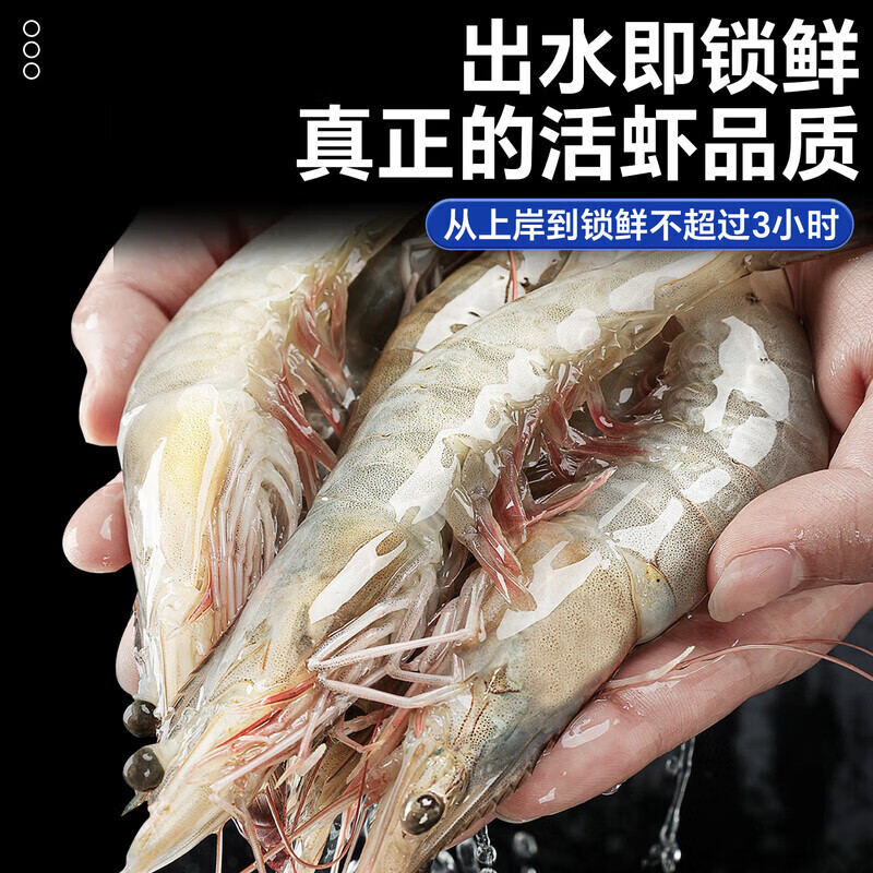 賣魚郎先生大蝦鮮活冷凍特大基圍蝦冷凍海蝦厄瓜多爾白蝦南美對(duì)蝦類海鮮 1500g 1斤(凈重)  17-23cm