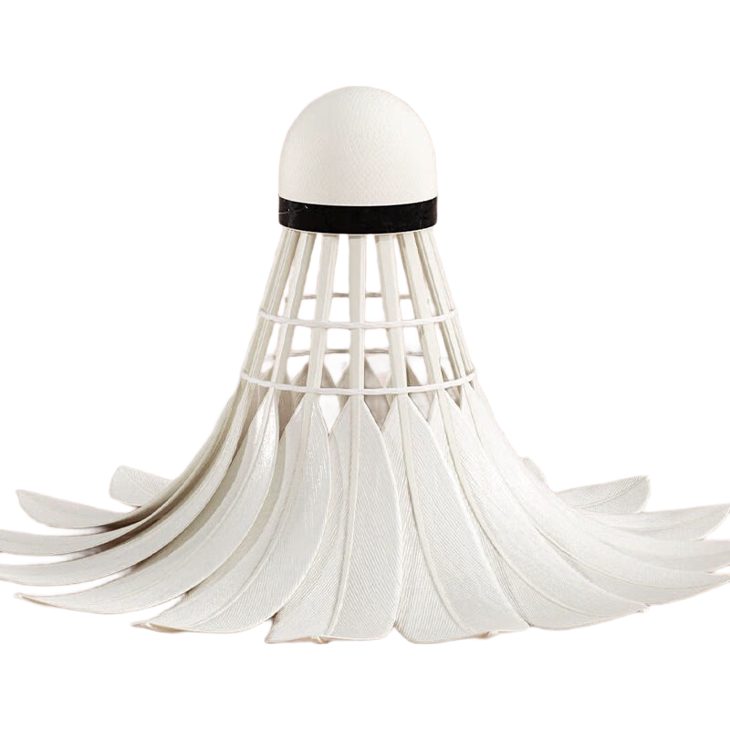 ��ë����Ʒ��ȻѼë12ֻװ�ʹ��ë���������������ѵ������6ֻ ����ͥ���֡��ޱ�-�ʹ��Ѽë 1Ͳ 6ֻװ 13.9Ԫ