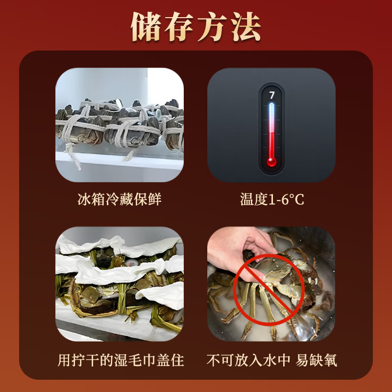 蟹妃蟹煌【活蟹】苏州精品大闸蟹鲜活螃蟹现货生鲜中秋礼盒源头直发 1688型 全母蟹3两 5对 10只