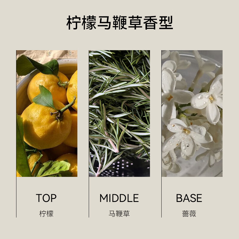 SEVEN PLUS柠檬马鞭草香氛洗发水沐浴露身体乳留香套装酒店民宿洗头膏400ml 马鞭草香氛洗发水400ml