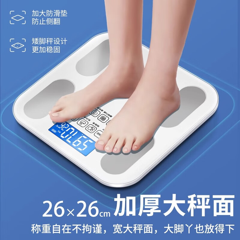 DIKTT德国体重称减肥专用智能精准体重充电款体重称高精度家用精准到0.01克减肥专用可测体脂家用充电 【皓月白-体重秤/充电款】精准智芯+精准称重