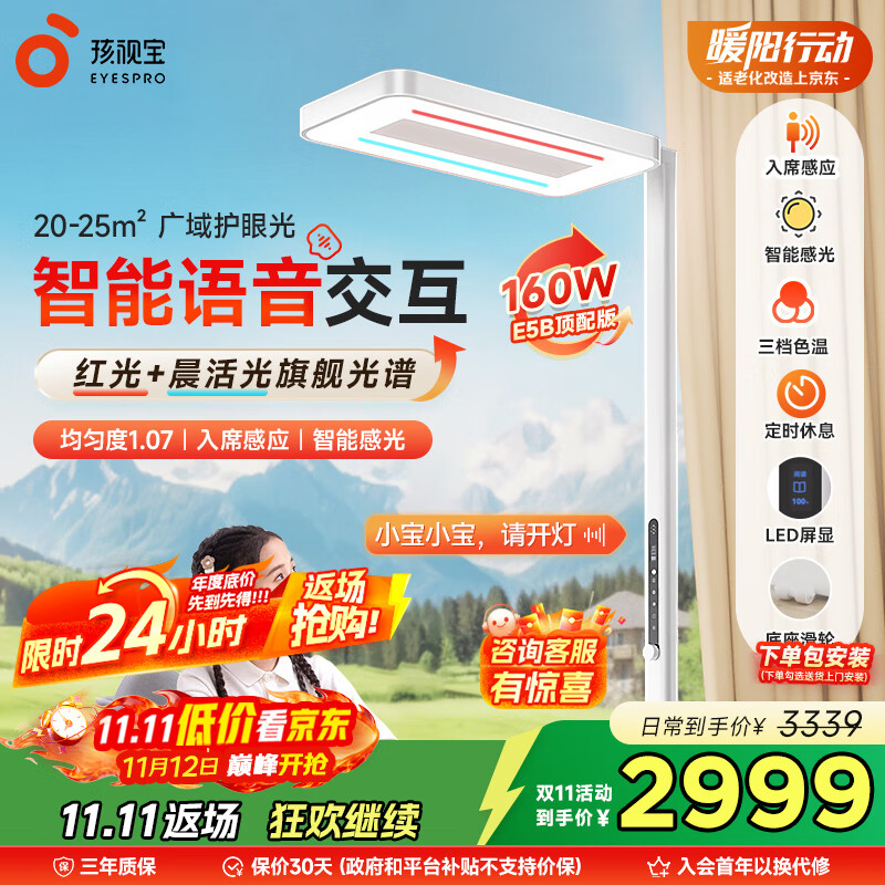 孩视灯家用落地大路灯E5-160W-R
