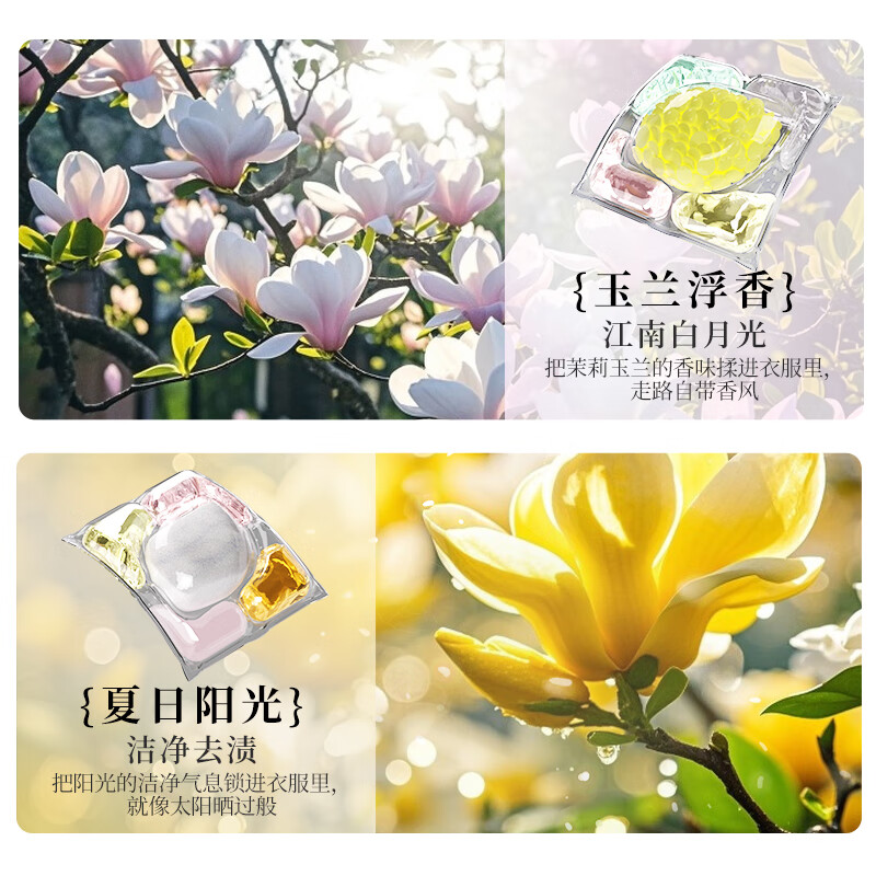 植护5D玉兰双拼洗衣凝珠大桶装持久留香三合一洗衣球香氛去污 【玉兰香】100颗*1桶