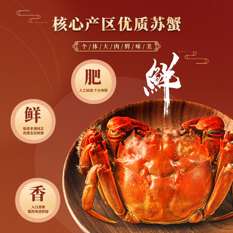 蟹妃蟹煌【活蟹】苏州精品大闸蟹鲜活螃蟹现货生鲜中秋礼盒源头直发 1688型 全母蟹3两 5对 10只