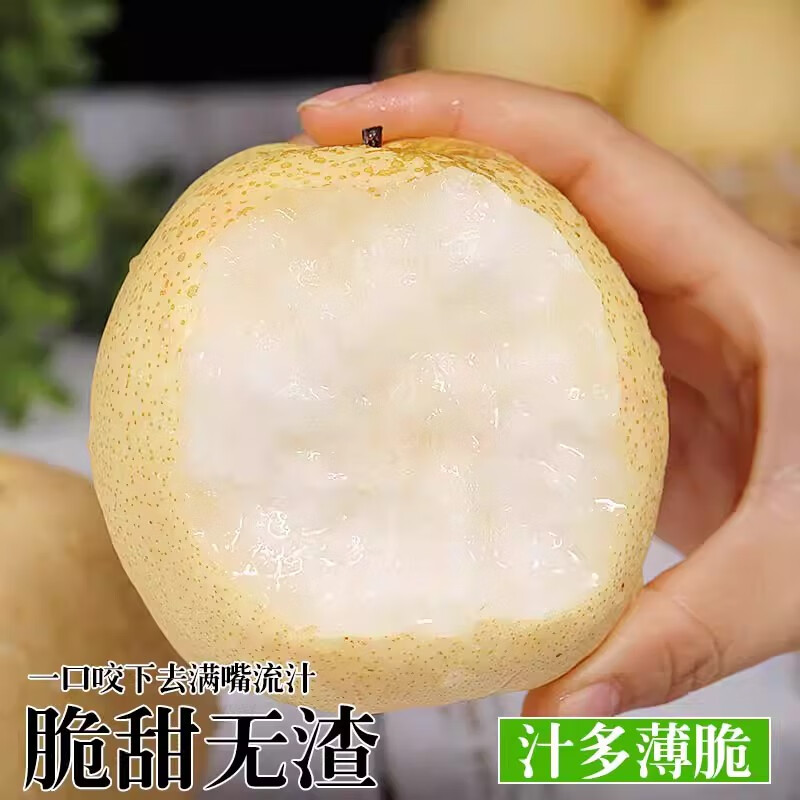 绿熊庄园山西贡梨果冰糖蜜梨农家果园新鲜采摘酥脆多汁应季现发孕妇水果 大果净重4.5斤【单果200g往上】