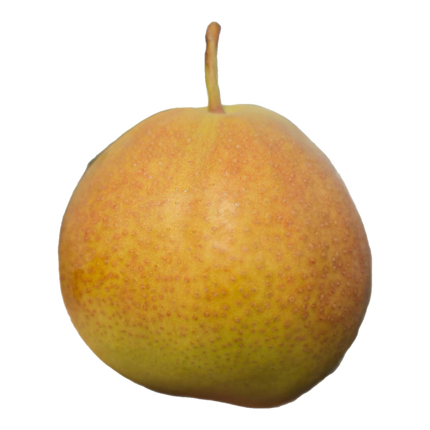 霁林鲜生正宗山西运城丹霞红梨5斤装新鲜应季水果生鲜香梨礼盒京东