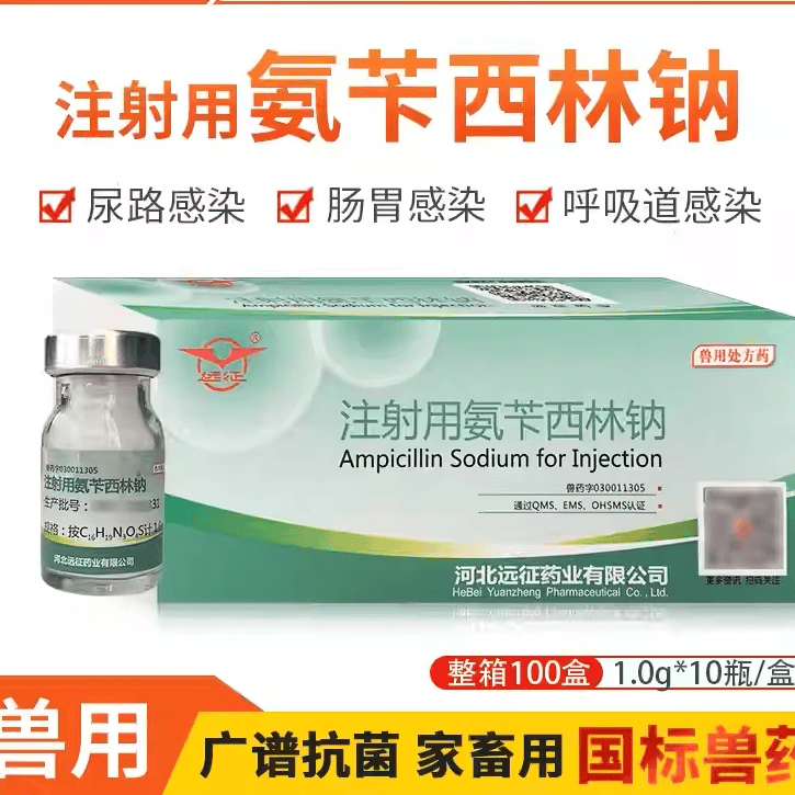 远征兽药注射用氨苄西林钠1g猪牛羊鸡狗猫大肠杆菌腹泻咳嗽消炎 【10盒优惠价】