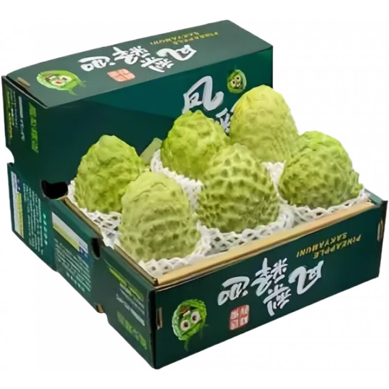 ���ȹ��߹���ţ�����ȹ�����֦Ħ���ͷ����˳���ش��մ����ˮ����� 3��װ��80%ѡ��ح�곤��������2.5�� ����Ʒ����������֮ѡ������Լ150g+