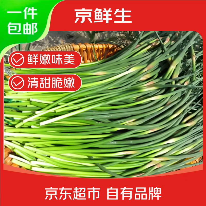 京鲜生山东红帽蒜苔净重3斤粗细适中色泽饱满蒜薹 源头直发
