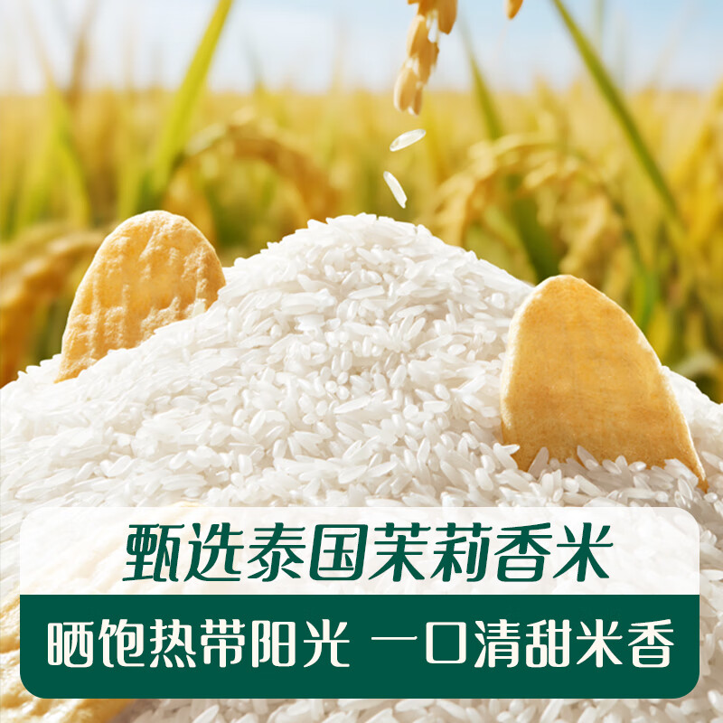 英氏（Engnice）【米饼专区】英氏宝宝零食婴幼儿米饼磨牙饼干辅食外出零食 泰国茉莉香米米饼(原味)32g