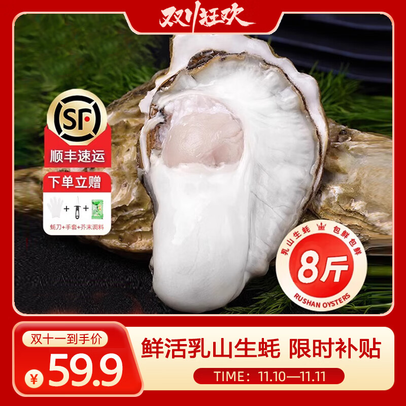 百鲜洽乳山生蚝超大号5XL 净重9斤