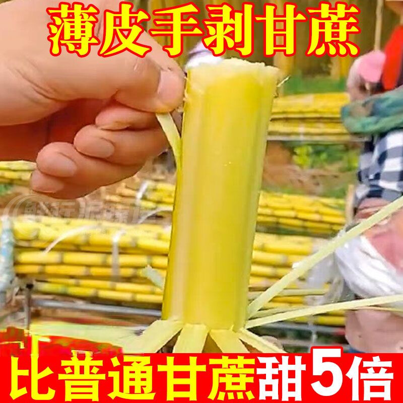 格沃斯云南手剥黄金甘蔗新鲜当季水果黄皮青皮黑皮甘蔗现砍脆甜多汁整箱 爆甜中段【整箱9-10斤】