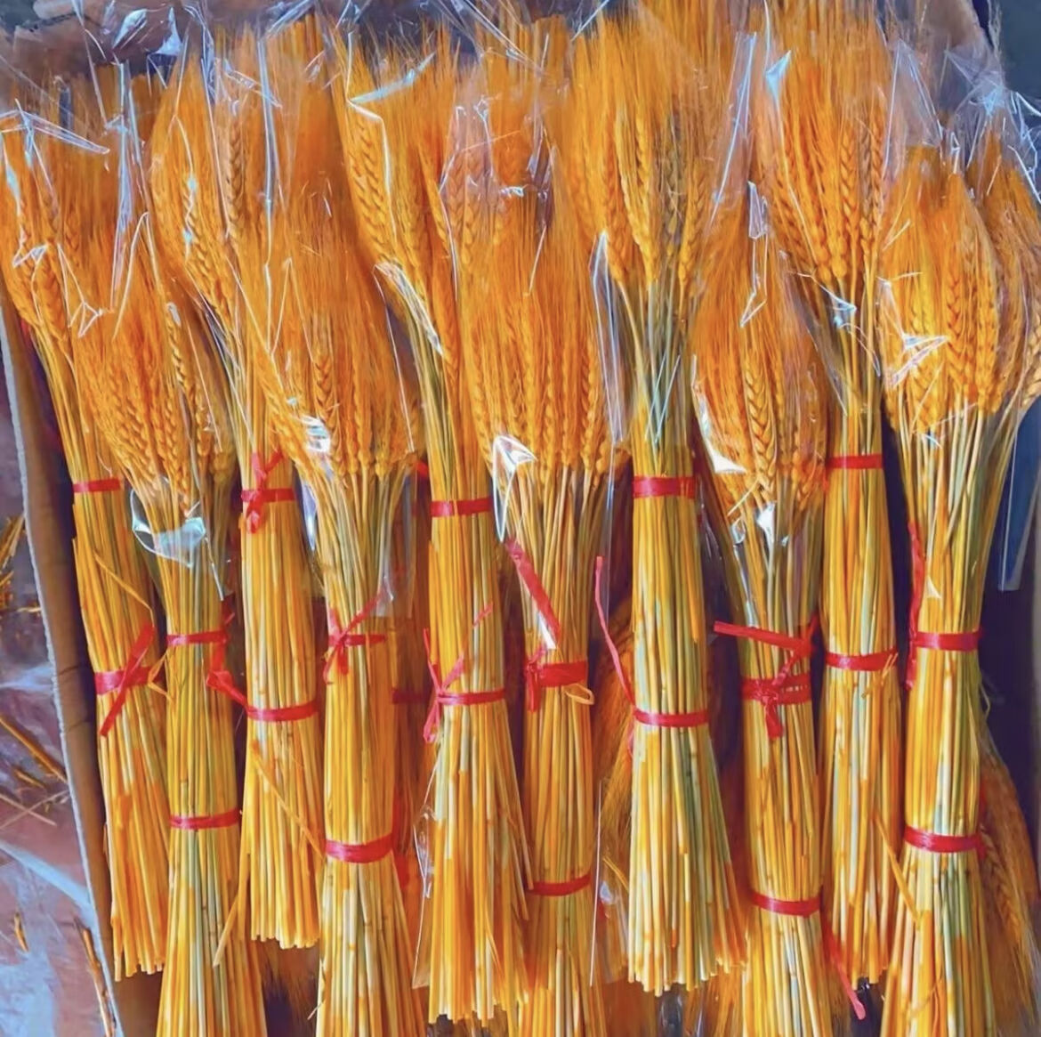 运猫精品大麦天然黄金麦穗干花花束开业花篮田园装饰网红拍摄道具批发