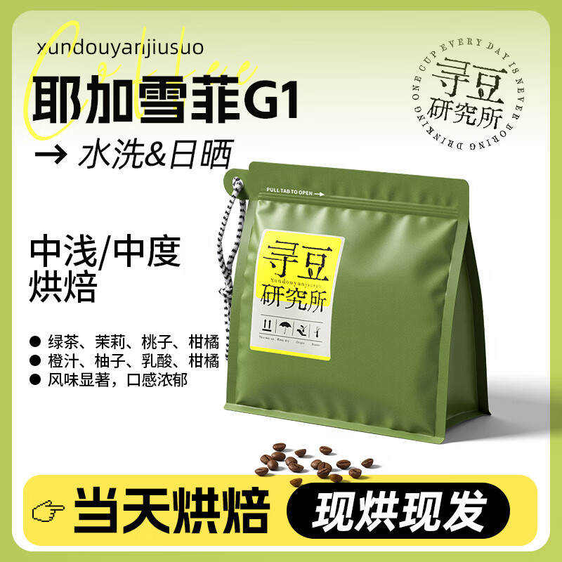 寻豆研究所 耶加雪菲G1咖啡豆浅中烘焙精品咖啡粉手冲美式意式SOE 100g 浅中烘焙 不磨粉 水洗G1