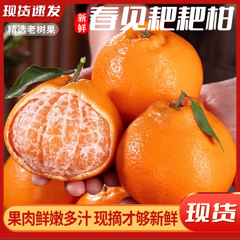 闽域寻鲜四川春见耙耙柑【新鲜现摘】橘子新鲜水果丑柑桔粑粑柑当季杷杷柑 带箱5斤【精选果】单果70-80mm 净重4.5斤